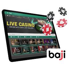 Baji Whitelabel Exchange Internet Site Provider In Bangladesh & India